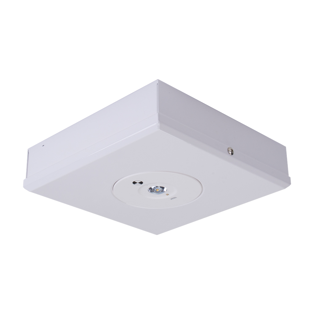 Square Surface LED Emergency Light(EL900505-SS)
